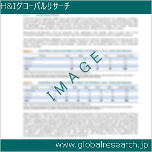 グローバルリサーチ調査レポートのイメージ